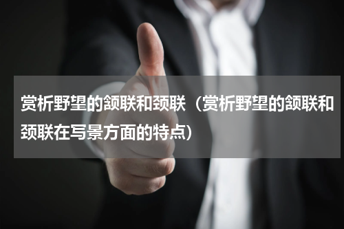 赏析野望的颔联和颈联（赏析野望的颔联和颈联在写景方面的特点）