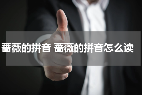 蔷薇的拼音 蔷薇的拼音怎么读