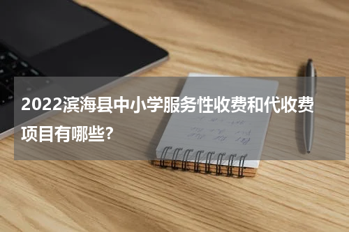 2022滨海县中小学服务性收费和代收费项目有哪些？