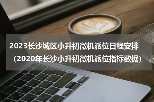 2023长沙城区小升初微机派位日程安排（2020年长沙小升初微机派位指标数据）