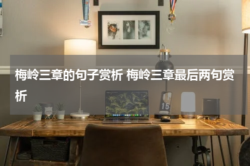 梅岭三章的句子赏析 梅岭三章最后两句赏析