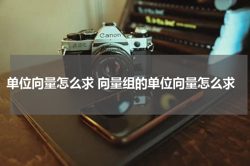 单位向量怎么求 向量组的单位向量怎么求