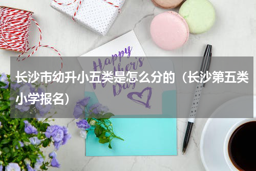 长沙市幼升小五类是怎么分的（长沙第五类小学报名）