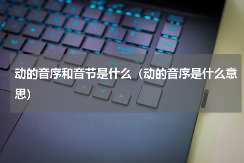 动的音序和音节是什么（动的音序是什么意思）