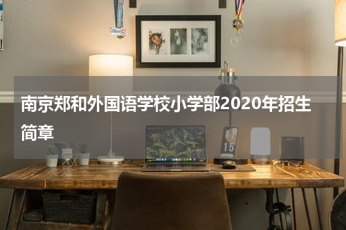 南京郑和外国语学校小学部2020年招生简章