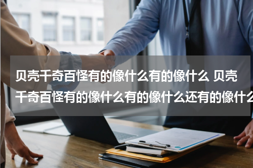 贝壳千奇百怪有的像什么有的像什么 贝壳千奇百怪有的像什么有的像什么还有的像什么