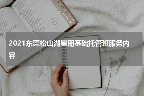 2021东莞松山湖暑期基础托管班服务内容