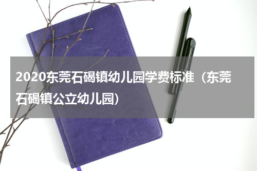 2020东莞石碣镇幼儿园学费标准（东莞石碣镇公立幼儿园）