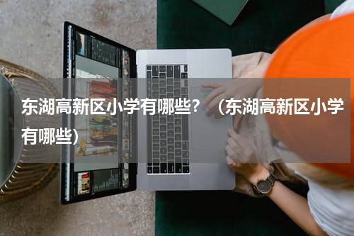 东湖高新区小学有哪些？（东湖高新区小学有哪些）