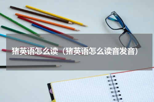 猪英语怎么读（猪英语怎么读音发音）