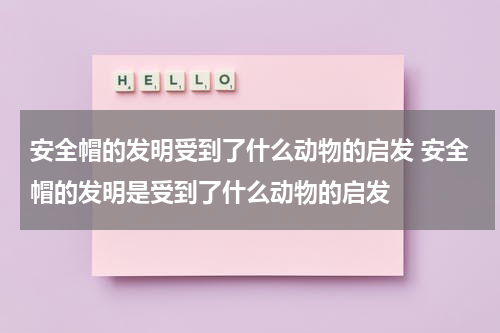 安全帽的发明受到了什么动物的启发 安全帽的发明是受到了什么动物的启发