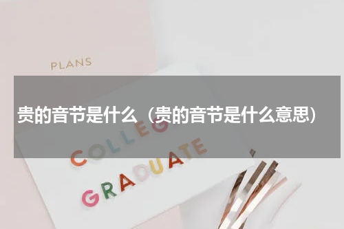 贵的音节是什么（贵的音节是什么意思）