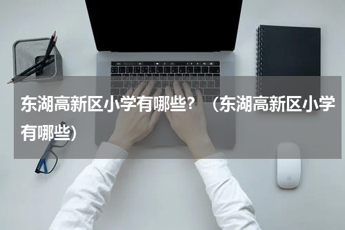 东湖高新区小学有哪些？（东湖高新区小学有哪些）