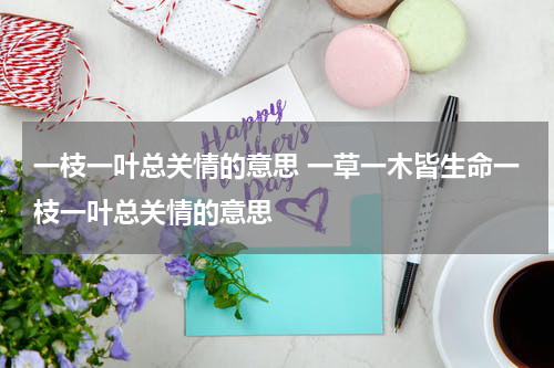 一枝一叶总关情的意思 一草一木皆生命一枝一叶总关情的意思