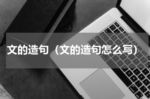 文的造句（文的造句怎么写）