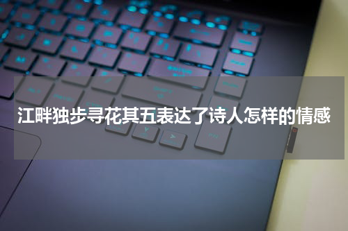 江畔独步寻花其五表达了诗人怎样的情感