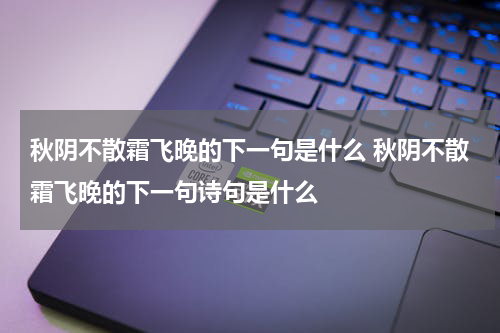 秋阴不散霜飞晚的下一句是什么 秋阴不散霜飞晚的下一句诗句是什么
