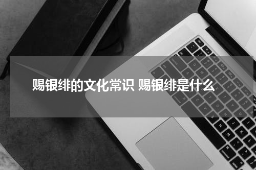 赐银绯的文化常识 赐银绯是什么