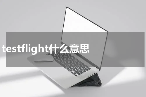 testflight什么意思