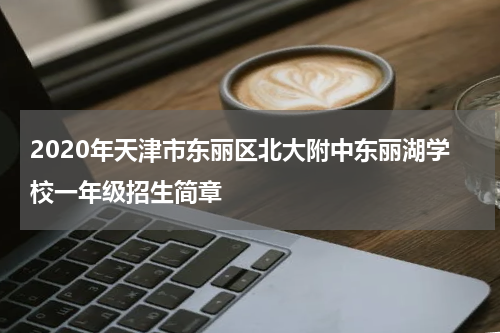 2020年天津市东丽区北大附中东丽湖学校一年级招生简章