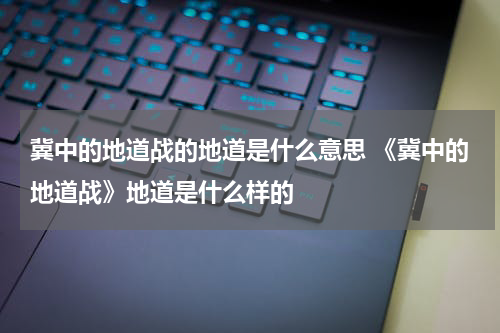 冀中的地道战的地道是什么意思 《冀中的地道战》地道是什么样的