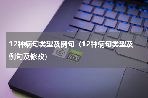 12种病句类型及例句（12种病句类型及例句及修改）