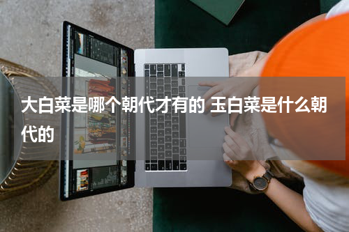 大白菜是哪个朝代才有的 玉白菜是什么朝代的