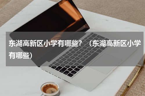 东湖高新区小学有哪些？（东湖高新区小学有哪些）
