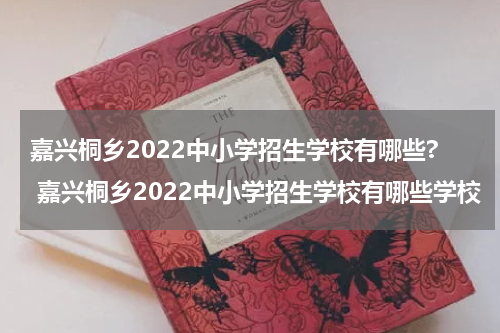 嘉兴桐乡2022中小学招生学校有哪些? 嘉兴桐乡2022中小学招生学校有哪些学校