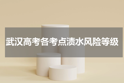 武汉高考各考点渍水风险等级