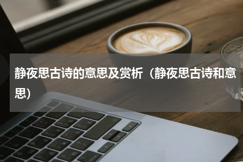 静夜思古诗的意思及赏析（静夜思古诗和意思）