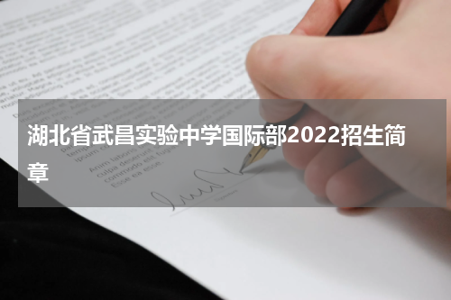 湖北省武昌实验中学国际部2022招生简章