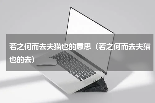 若之何而去夫猫也的意思（若之何而去夫猫也的去）