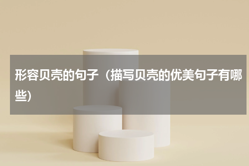 形容贝壳的句子（描写贝壳的优美句子有哪些）