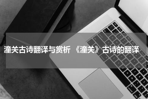 潼关古诗翻译与赏析 《潼关》古诗的翻译