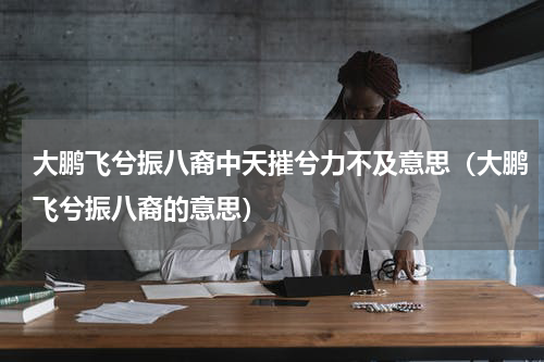 大鹏飞兮振八裔中天摧兮力不及意思（大鹏飞兮振八裔的意思）