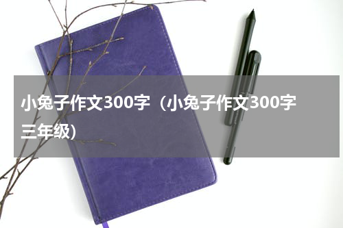 小兔子作文300字（小兔子作文300字三年级）
