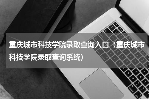 重庆城市科技学院录取查询入口（重庆城市科技学院录取查询系统）