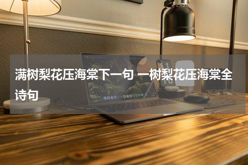 满树梨花压海棠下一句 一树梨花压海棠全诗句