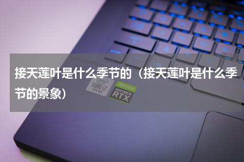 接天莲叶是什么季节的（接天莲叶是什么季节的景象）