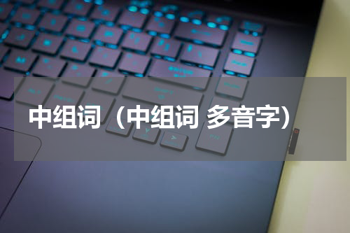 中组词（中组词 多音字）