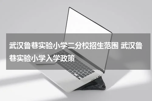 武汉鲁巷实验小学二分校招生范围 武汉鲁巷实验小学入学政策