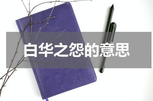 白华之怨的意思
