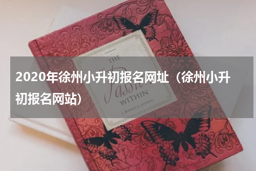 2020年徐州小升初报名网址（徐州小升初报名网站）