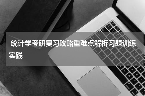  统计学考研复习攻略重难点解析习题训练实践