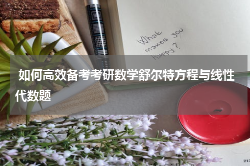  如何高效备考考研数学舒尔特方程与线性代数题