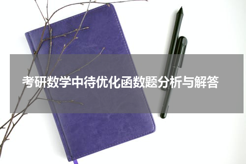  考研数学中待优化函数题分析与解答
