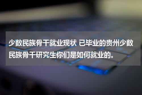 少数民族骨干就业现状 已毕业的贵州少数民族骨干研究生你们是如何就业的。