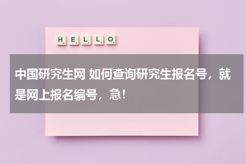 中国研究生网 如何查询研究生报名号，就是网上报名编号，急！