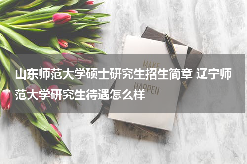 山东师范大学硕士研究生招生简章 辽宁师范大学研究生待遇怎么样
